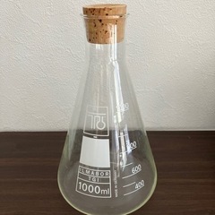 三角フラスコ　マイヤーフラスコ　1000ml