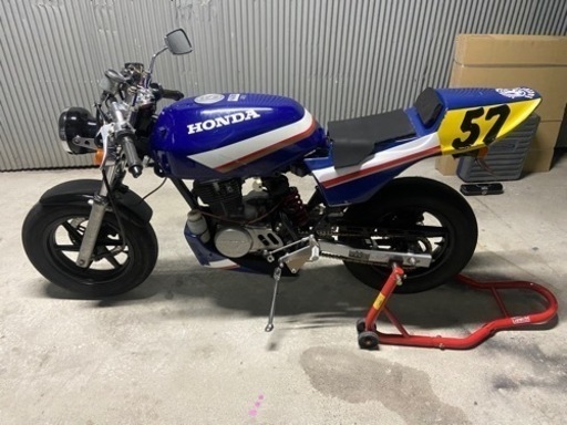 エイプ100 書類有り　公道走行可