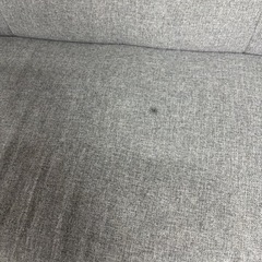 11/29まで出品 2人掛けソファー　グレー　の画像
