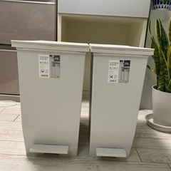 【美品】棚下で使えるペダル ダストボックス 35L & 45L グレーの画像