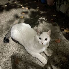 素直で可愛らしい男の子♪
