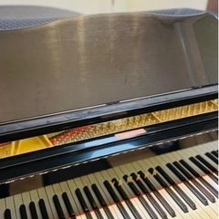 ♫ピアノ教室♫〜生徒募集〜の画像