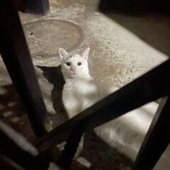 心優しい男の子♪