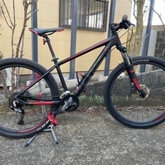 ROCKHOPPER SPORT PNGRN/OBSD M 29(M グロスパイングリーン