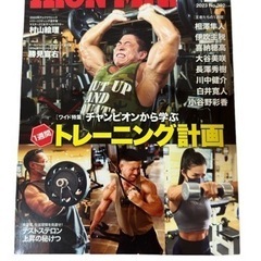 アイアンマンの画像