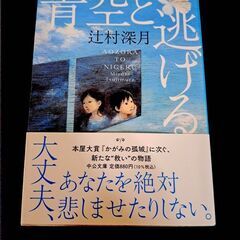 青空と逃げる 小説