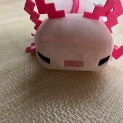 ぬいぐるみの画像