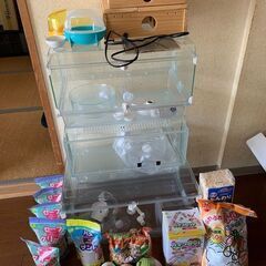 ハムスター飼育用品あげます。