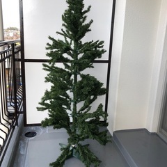 クリスマスツリーの画像