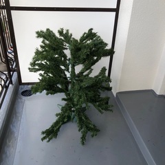 クリスマスツリーの画像