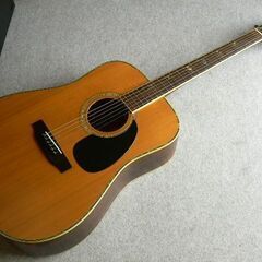 ＊TFシリーズ「Morris W-50」　単板トップ （訳あり）