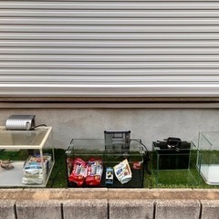 小型水槽3個セット