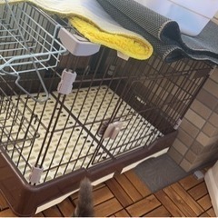 ペットケージの画像