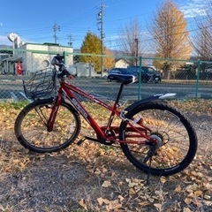 子供用自転車(男の子用)