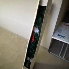 イルミネーションツリーの画像