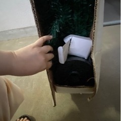 イルミネーションツリーの画像