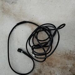 ケルヒャー　高圧洗浄機　ガン無しの画像