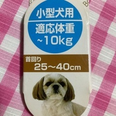 小型犬用首輪の画像