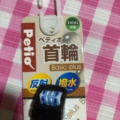 小型犬用首輪の画像