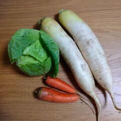 本日収穫 野菜 大根 人参 キャベツ