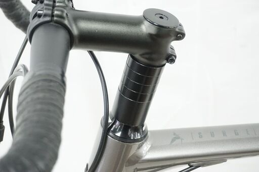 TERN 「ターン」 SURGE 2021年モデル ミニベロ