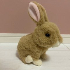 iwaya 動くうさぎの画像