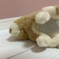 iwaya 動くうさぎの画像