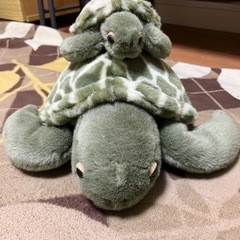 【決まりました】カメのぬいぐるみ