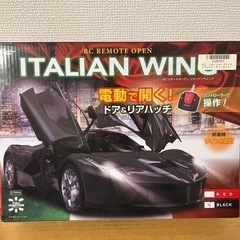 イタリアンウイング　ラジコン