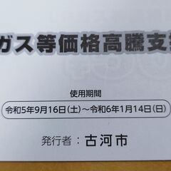 LPガス等価格高騰支援券 古河市の画像