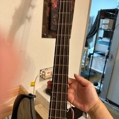 ベース 【値下げ交渉承ります】SCHECTER C-4 APOCALYPSE Rusty Grey ベースの画像