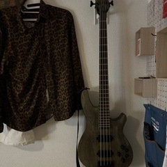 【値下げ交渉承ります】SCHECTER C-4 APOCALYPSE Rusty Grey [AD-C-4-APOC] '19 ベース