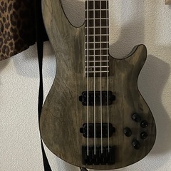 【値下げ交渉承ります】SCHECTER C-4 APOCALYPSE Rusty Grey [AD-C-4-APOC] '19 ベースの画像
