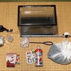 (決定)水槽　他金魚飼育セット