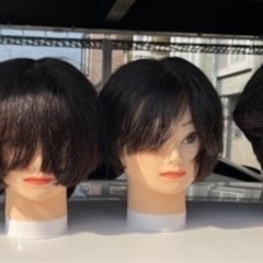 カットマネキン　の画像