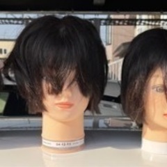 カットマネキン　の画像