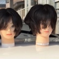 カットマネキン　の画像
