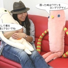 新品　モケケ　抱き枕　LLサイズ　クルの画像