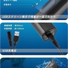 【週末値下げ】ボディシェーバー メンズ  髪、VIO対応 バリカンの画像