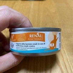 猫用ウェットフード　腎臓サポート用　療法食　