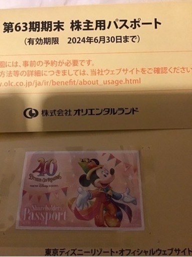 東京ディズニーランド　ディズニーシー　どちらかワンデーパス　1枚　株主優待