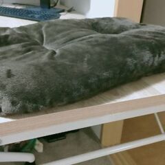 カインズ　電気のいらない保温ベッドの画像