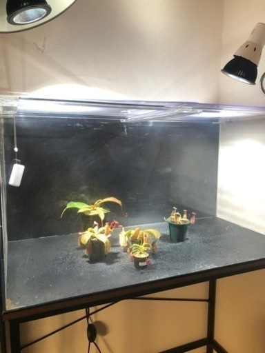 アクリル水槽　900×450×450 アクアリウム　植物