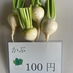 食品