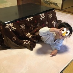 こたつ布団(こたつと娘は付いてきません)の画像