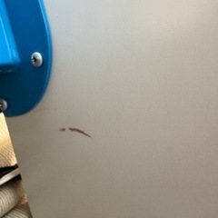 IKEA ポール PÅHL 横幅128cmの画像