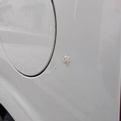 動画と写真追加☆ミラココア　車検来年の9月まで！の画像