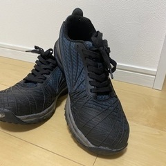 【値下げしました】スニーカータイプの安全靴　27.0㎝