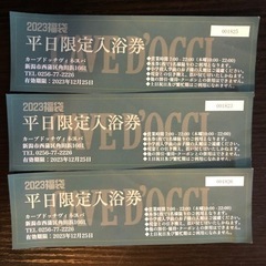 ♨️カーブドッチ平日限定入浴券1〜4枚