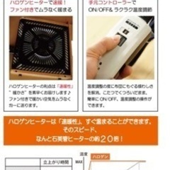 オールシーズン使える国産材使用の可愛いそら豆型の105cm幅国産・日本製変形ビーンズこたつテーブルくるみの画像